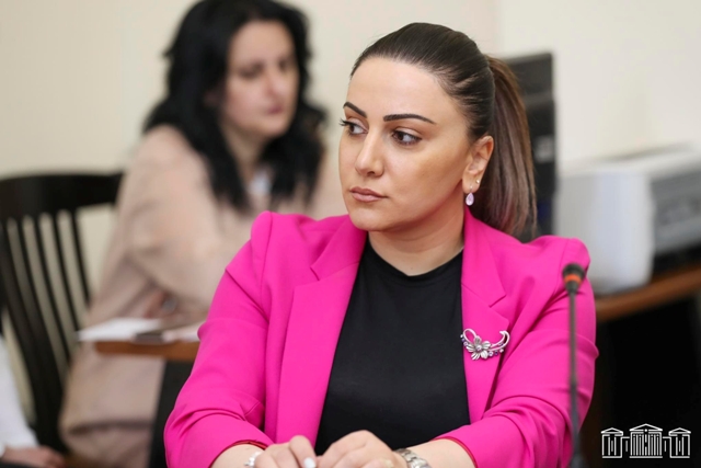 «Քաղաքացիական պայմանագիրը» որոշել է ԱԺ ղեկավար կազմի իր թեկնածուներին
