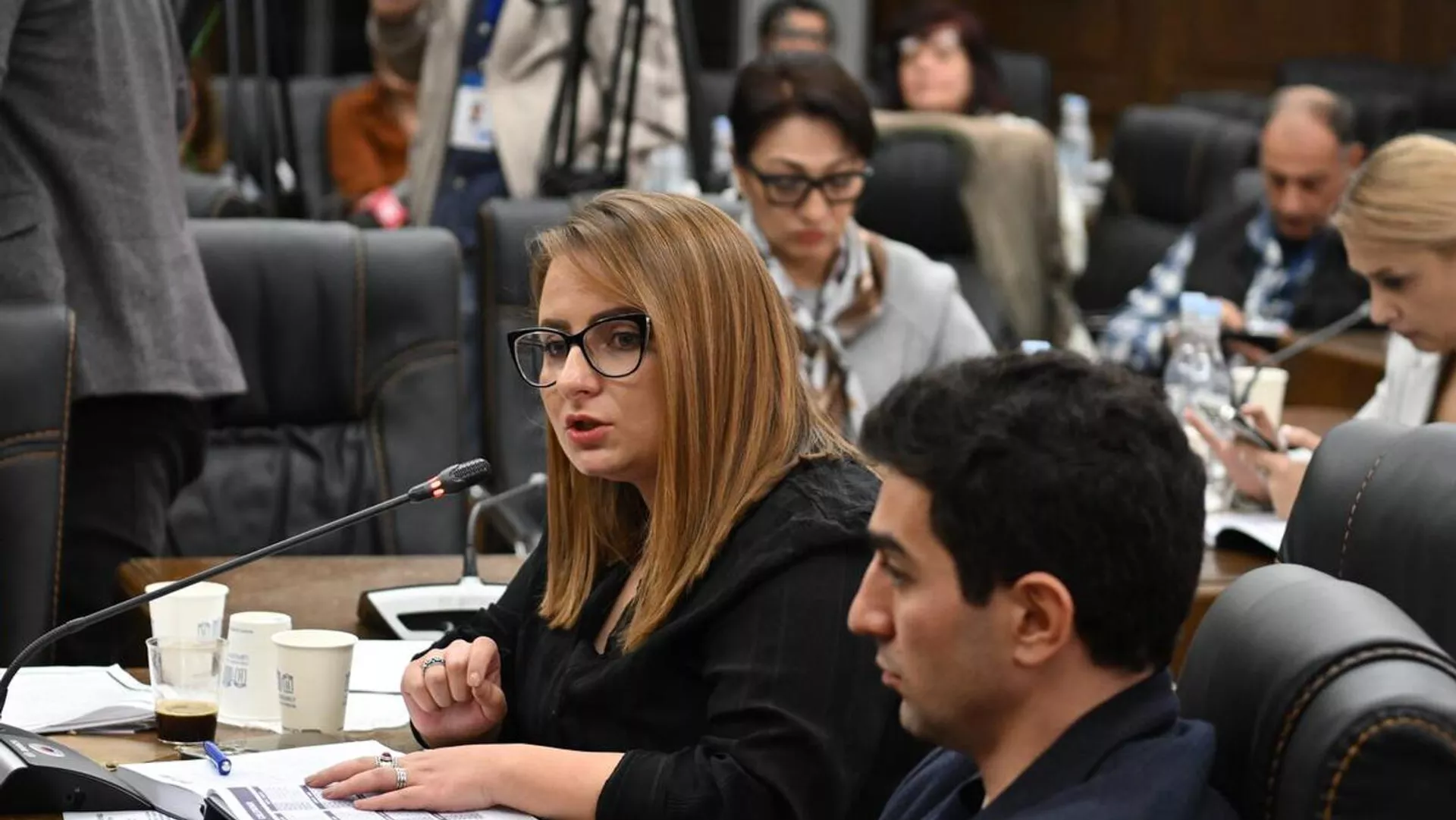 Կան առողջ քննարկումներ. Քրիստինե Վարդանյանն արձագանքում է Սամվել Կարապետյանի կոչին
