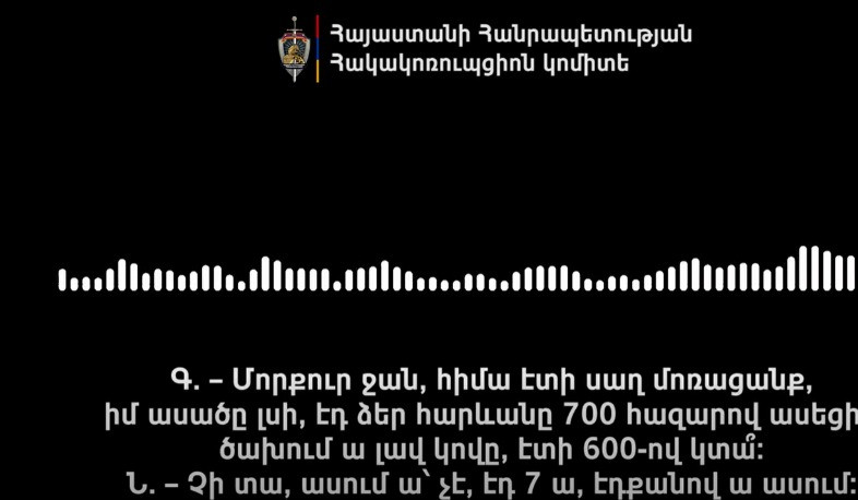 Ընտանի կենդանիներ և թռչուններ՝ ընտրողների վրա ներազդելու համար. Հակակոռուպցիոն կոմիտեն քրեական վարույթ է նախաձեռնել