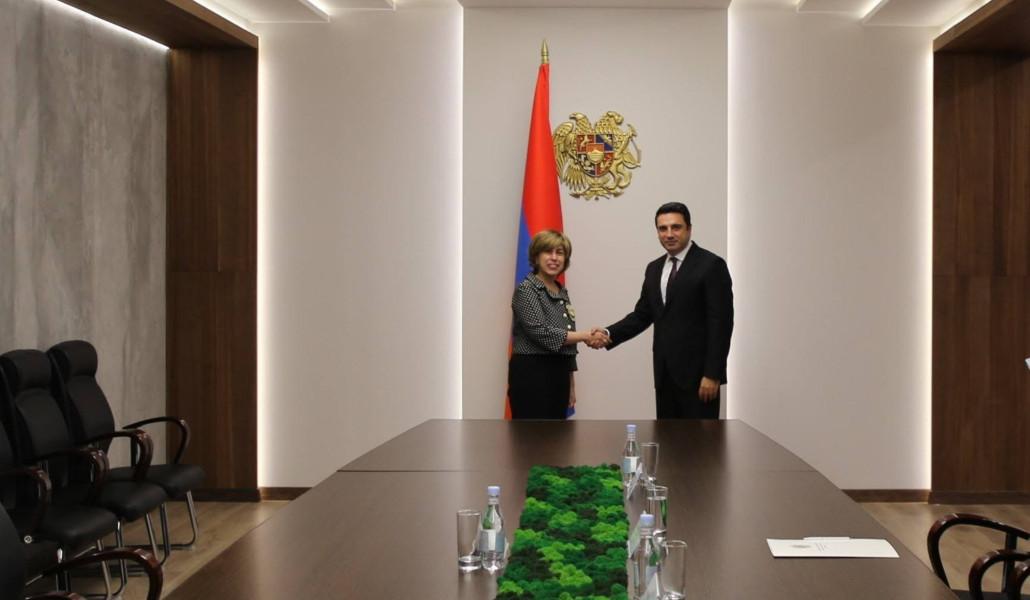 Ալեն Սիմոնյանն ընդունել է Հայաստանում Եգիպտոսի դեսպանին