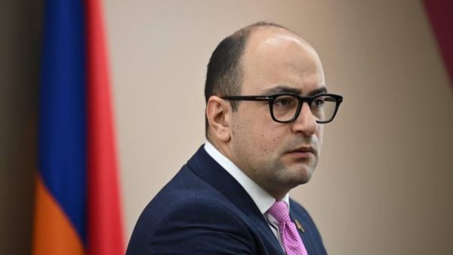 Հայկ Մամիջանյան. Հայաստանում տեղի ունեցողը կապ չունի եվրոպական արժեքների հետ