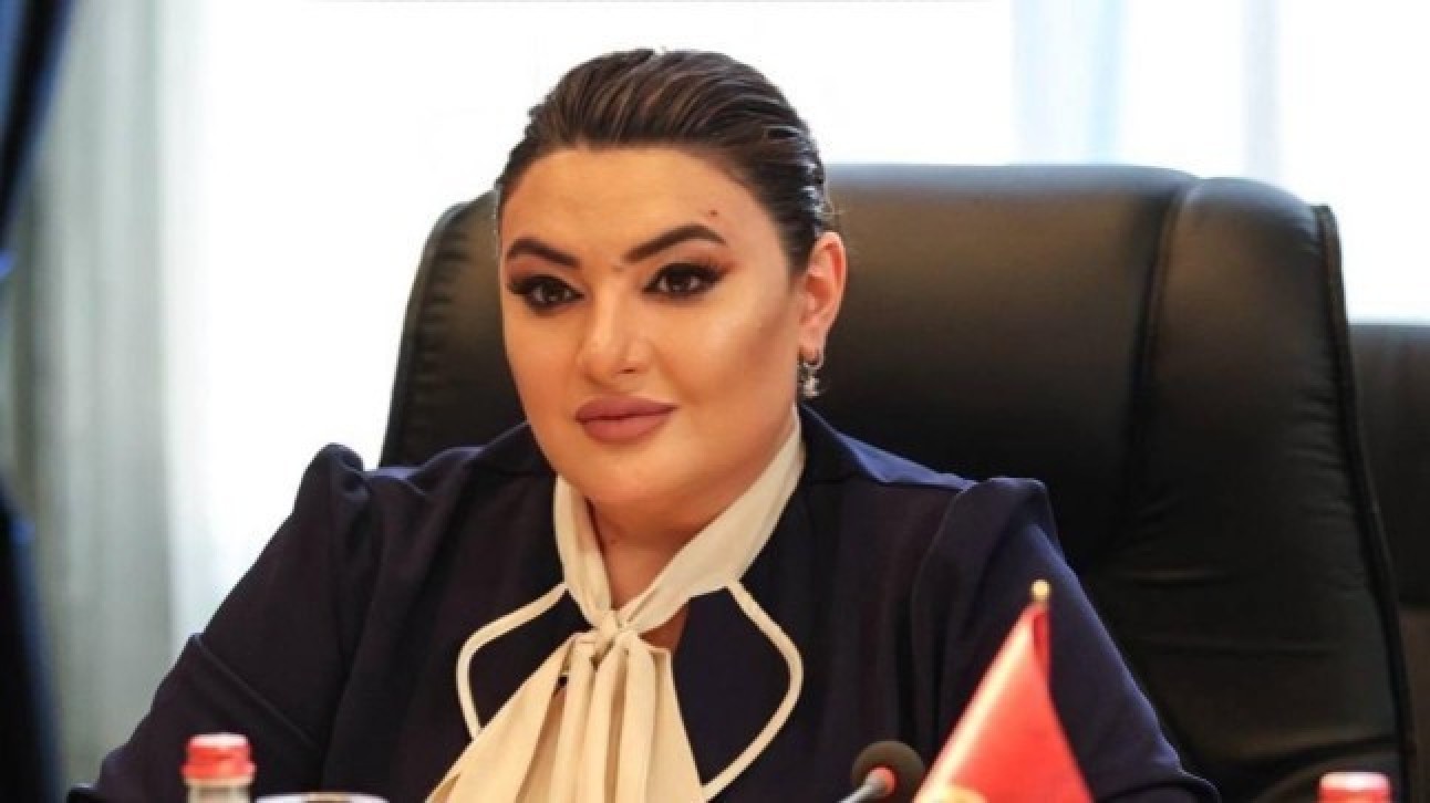Ընտրական գործընթացի հետ կապված մտահոգիչ հարցերն ու անհամապատասխանությունները շարունակվում են ի հայտ գալ. Իվետա Տոնոյան