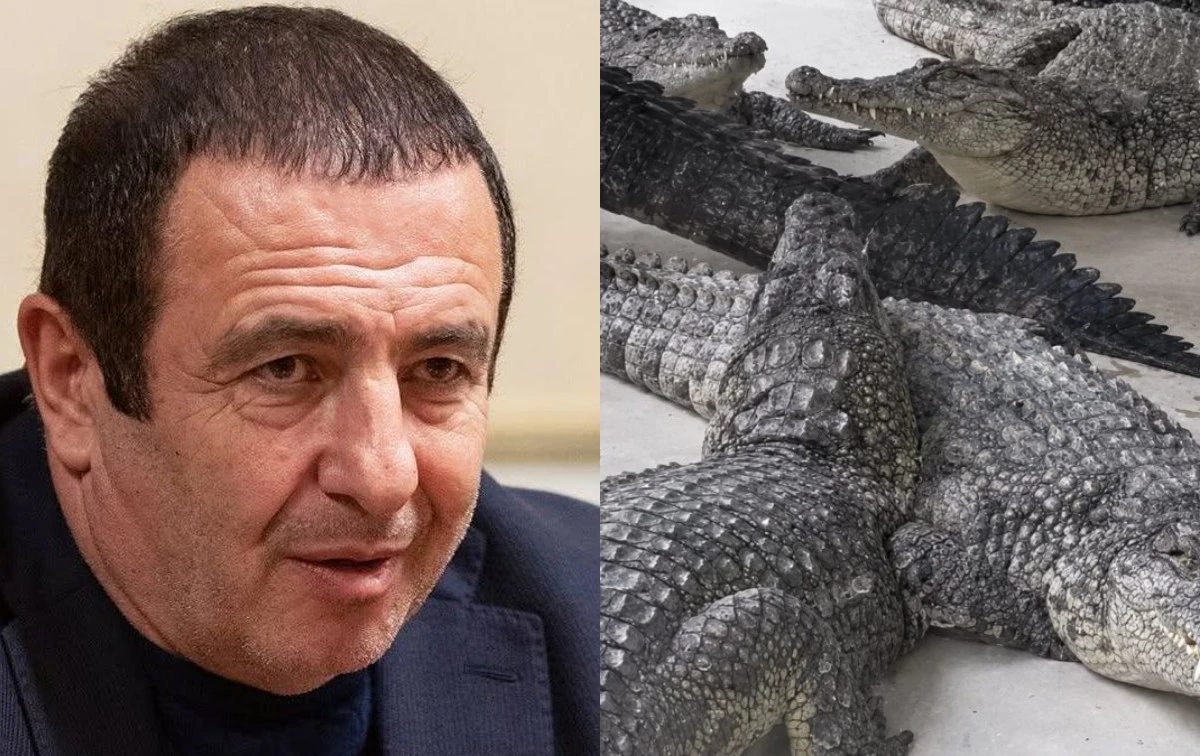 Կոկորդիլոսը ոչ ոքի չի վնասել. ԱԻՆ աշխատակից չի տուժել. ՆԳՆ