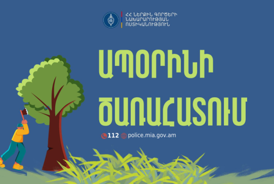 Տավուշի մարզի ոստիկանները ապօրինի ծառահատման դեպք են բացահայտել