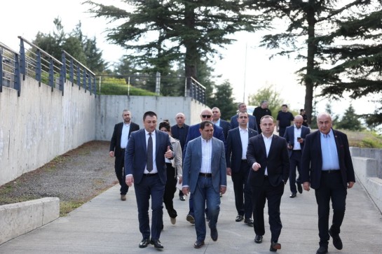 Այցելել եմ Մարիամ Մակաշվիլիի անվան զինվորական վերականգնողական ծառայություն, շրջել եմ կենտրոնի տարածքում. Պապիկյան