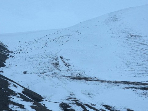 Սպասվում է ձյուն, բուք, ցածր հորիզոնական տեսանելիություն