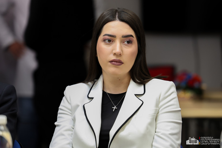 Միակ իրավասու մարմինը՝ Հակակոռուպցիոն կոմիտեն պետք է քննի և անաչառ գնահատական տա դեպքերի վերաբերյալ․ ՆԳ նախարարը՝ ոստիկանի և քննիչների մասնակցությամբ դեպքերի մասին