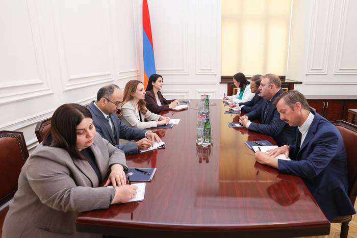 Լիլիթ Մակունցը հանդիպում է ունեցել ԵՄ գործընկերության առաքելության ղեկավար Կոսմին Դինեսկուի հետ 